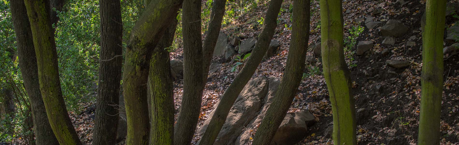 Water of Ramón - Hiking and trekking near Santiago de Chile