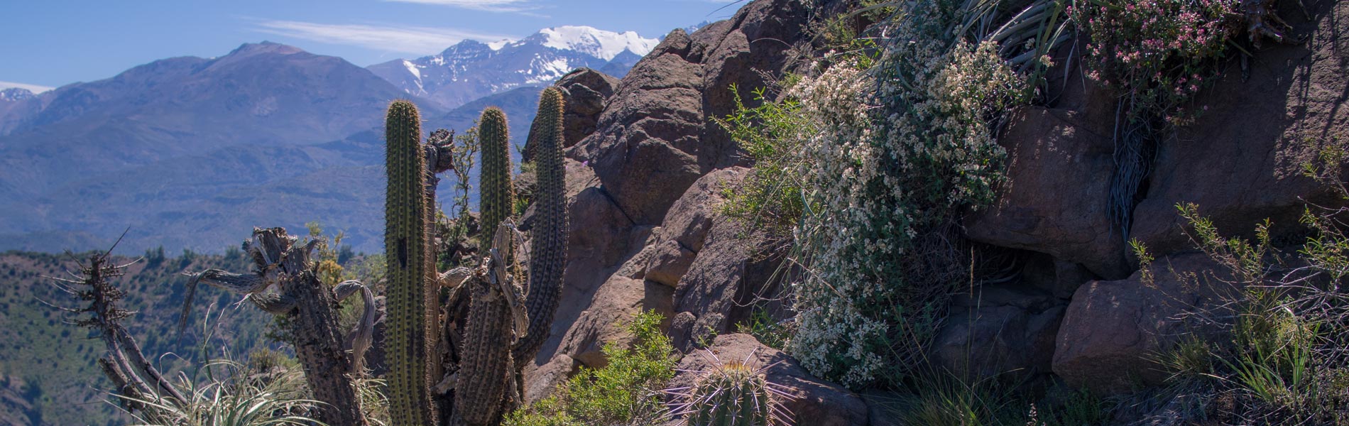 Pochoco Mountain Hike