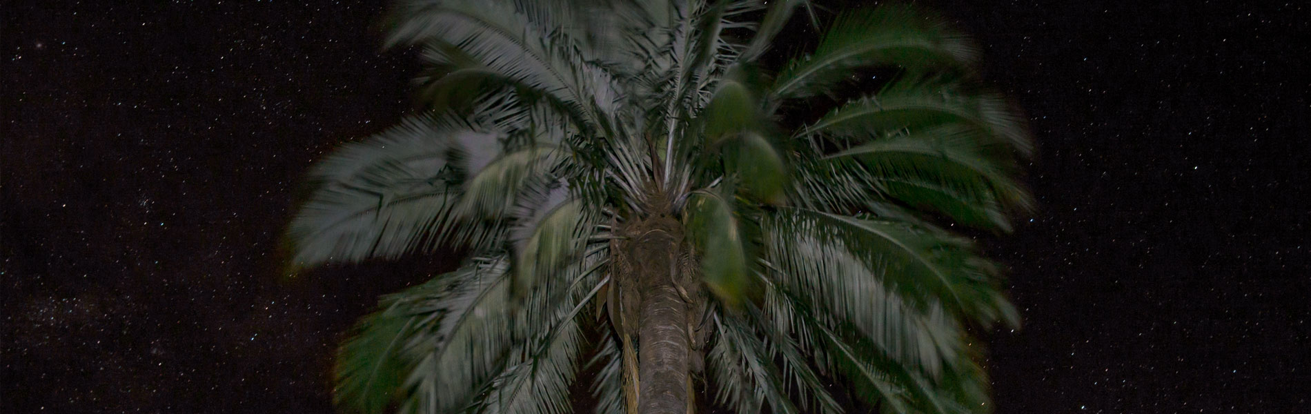 Treks Santiago Chile