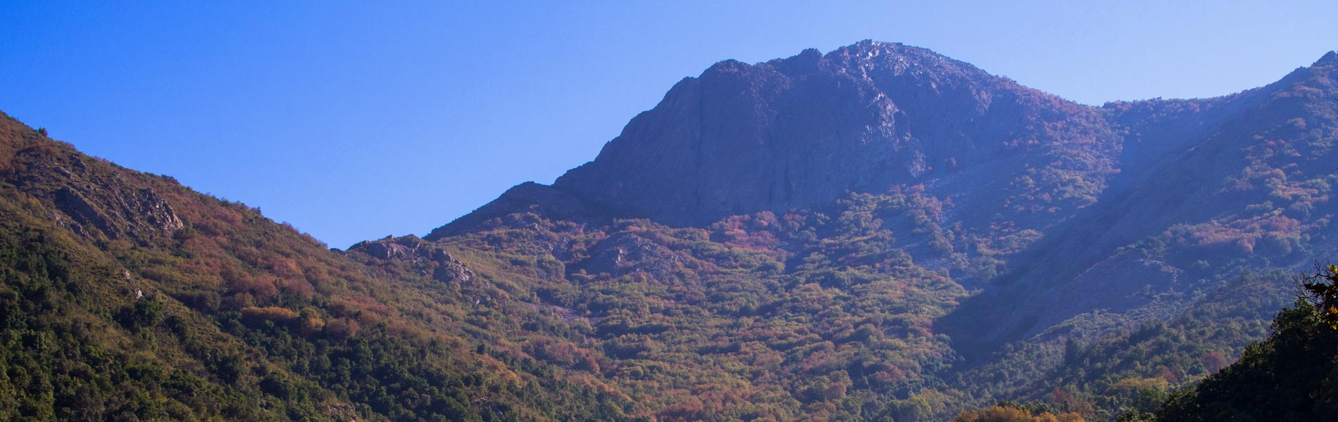 La Campana Ascent - Santiago de Chile Hiking Tours